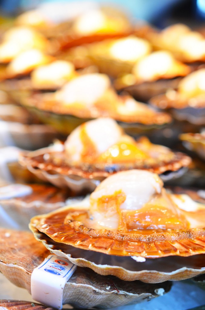 Coquilles Saint Jacques