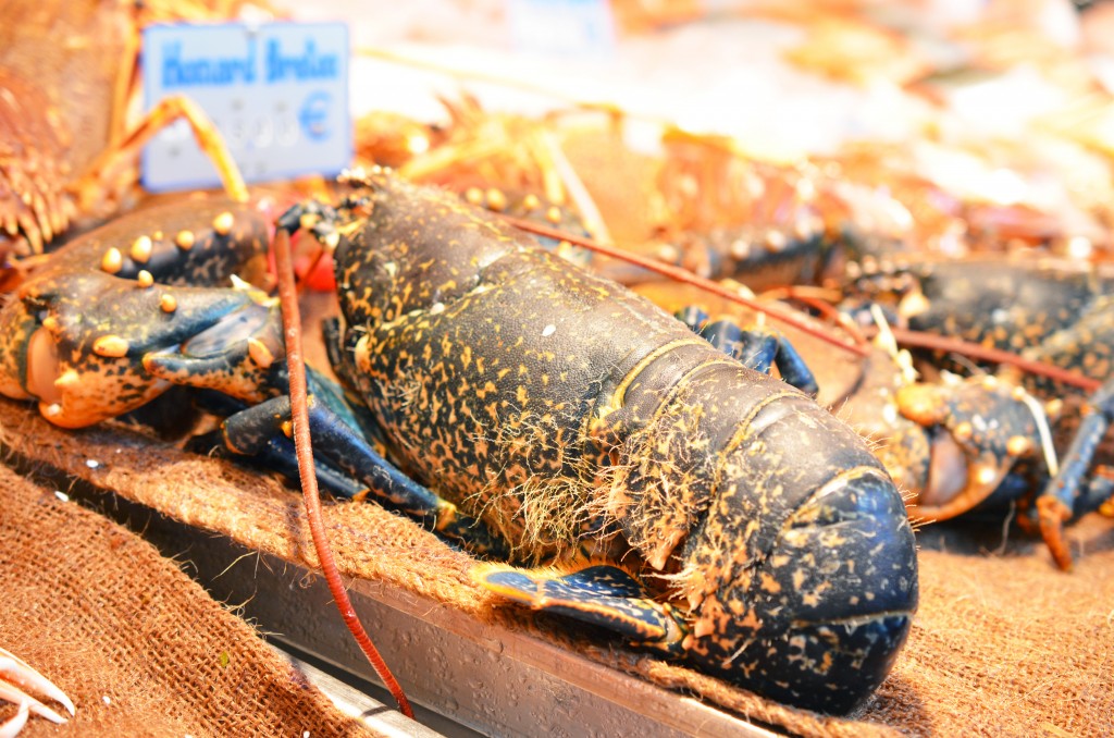 Homard Breton